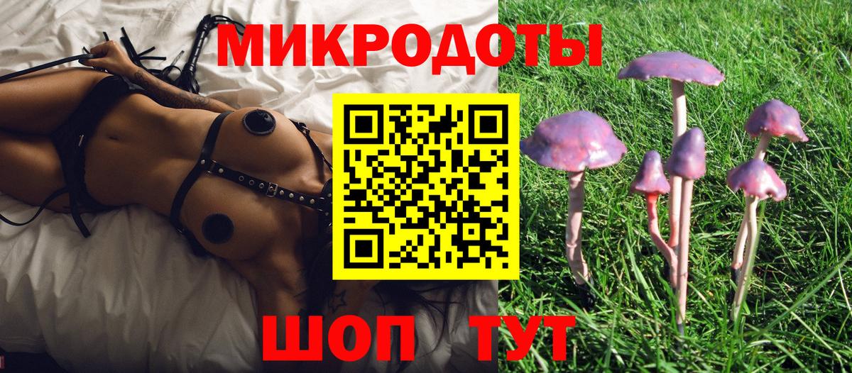 Псилоцибиновые грибы прущие грибы Вичуга