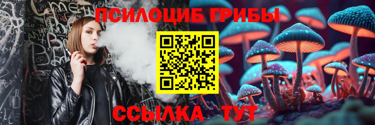 Галлюциногенные грибы Magic Shrooms  Вход с VPN  Вичуга 